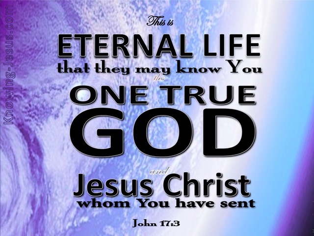 John 17:3 This Is Eternal Life (purple)
